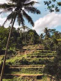 峇里必體驗🌟夢幻又刺激既Bali Swing！望住德哥拉朗梯田盪鞦韆💕 Uma Pakel Agro Tourism & swing