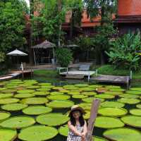 普吉島網美咖啡廳~ Ma Doo Bua Phuket