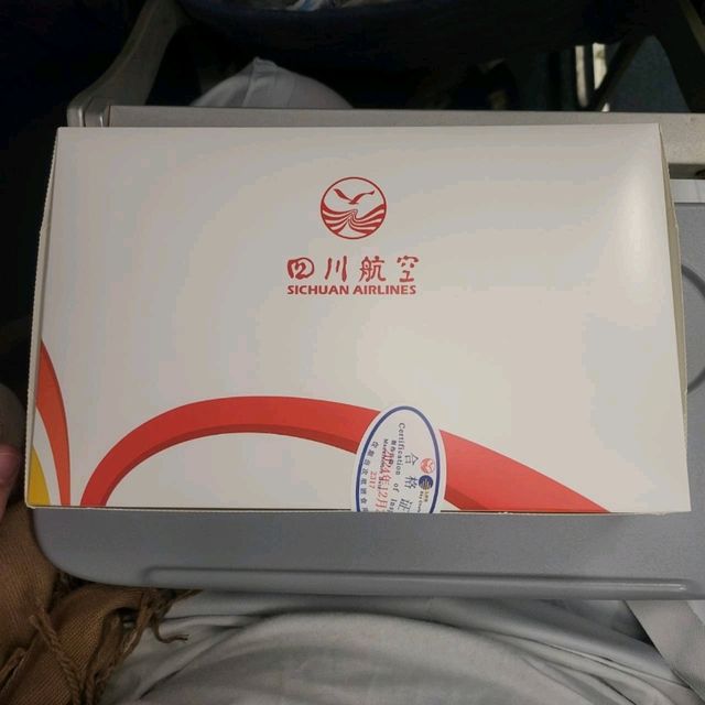 เสฉวนแอร์ไลน์ สนามบินนานาชาติเฉิงตูเทียนฟู่