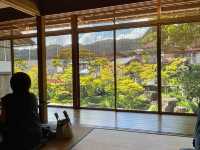 知る人ぞ知る岐阜の美しい食べ歩きスポット