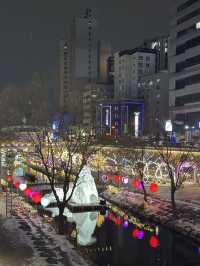 작년보다 더 화려해져 산책하기 좋은 서울 빛축제 추천🎄