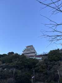 【熱海市🇯🇵】真っ青な海と海岸線を望める熱海の景勝地！