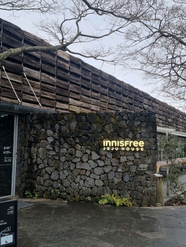 제주에서 녹차밭을 보고싶다면 오설록으로💚