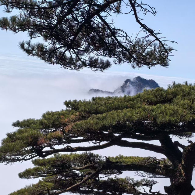 【中国/黄山風景区】