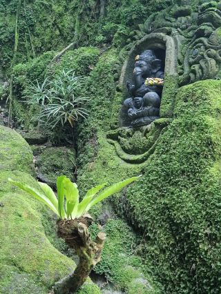 Goa Rang Reng Waterfall