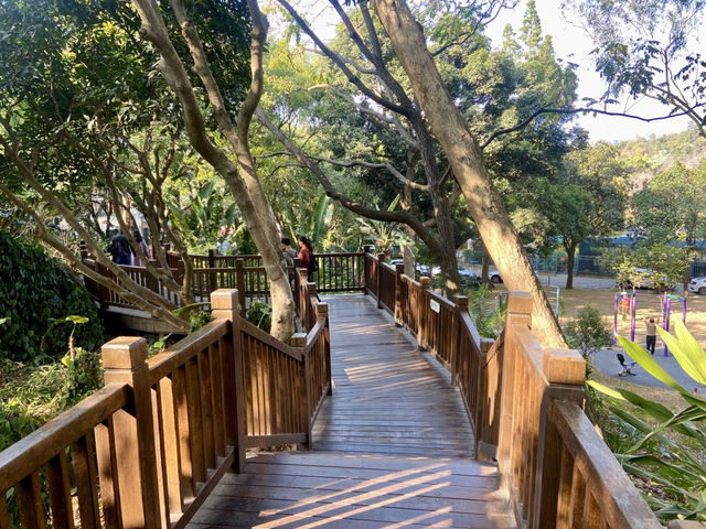 情人節好去處💕廈門園林植物園🌹🌵
