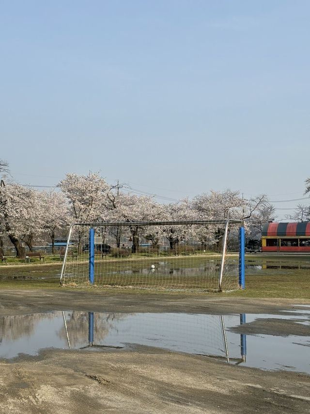 내산초등학교