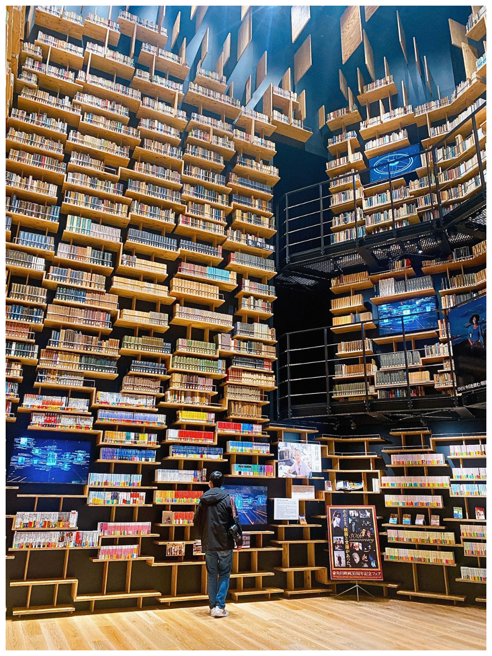 【中古】 ３６０武蔵野美大 ２００１年度版/世界思想社 中古】 360武蔵野美大 2001年度版/世界思想社 サムライ