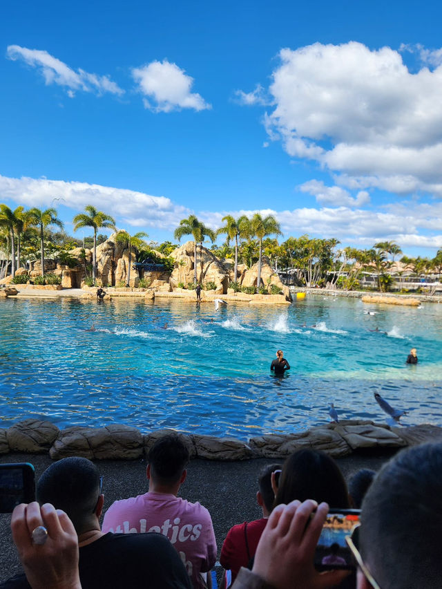 Ocean Wonders: Sea World Gold Coast