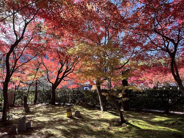 A Symphony of Colors – The Lonely Souls in the Adashino Nenbutsu-ji Temple