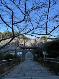 佐賀｜三千年神木跟茅之輪除厄 溫泉鄉武雄神社求愛情傘簽