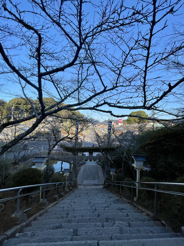 佐賀｜三千年神木跟茅之輪除厄 溫泉鄉武雄神社求愛情傘簽