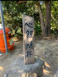 昂坪必去心經簡林｜情侶好去處