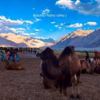 Laddakh Valley 