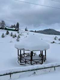 🏔️ Explore Gulmarg – A Paradise of Adventure & Beauty! ❄️