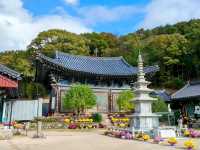 釜山長安寺，山林溪谷中的千年古剎