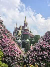 Dubai Miracle Garden: A Floral Wonderland in the Desert