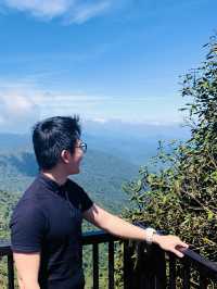 Mystical Mossy Forest - Rarest Encounter in Malaysia! 