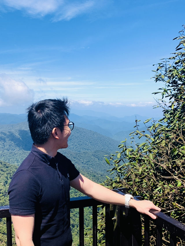 Mystical Mossy Forest - Rarest Encounter in Malaysia! 
