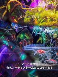 奈良トリップおでかけ観光スポット！市内アクセス◎奈良金魚ミュージアムが本気だった！アーティスト作品も見れる穴場