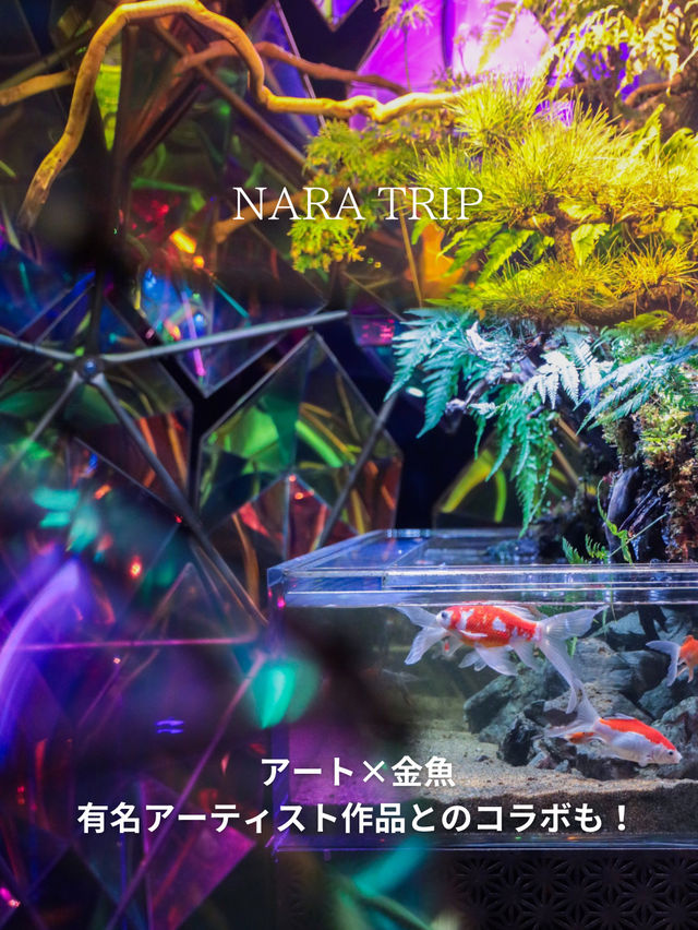 奈良トリップおでかけ観光スポット！市内アクセス◎奈良金魚ミュージアムが本気だった！アーティスト作品も見れる穴場