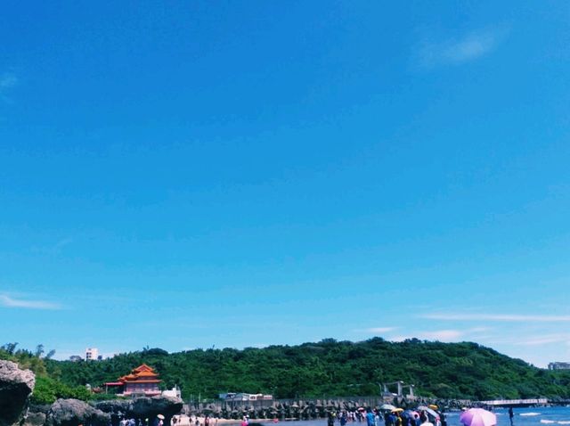🦀 小琉球潮間帶探險：踏上奇幻的生態之旅
