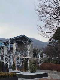 ❄️겨울 야외데이트 추천 스키&썰매장❄️