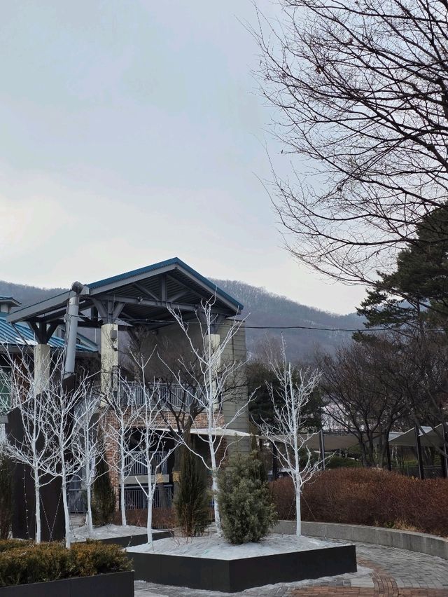 ❄️겨울 야외데이트 추천 스키&썰매장❄️