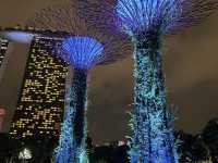 What an amazing experience Singapore has to offer!