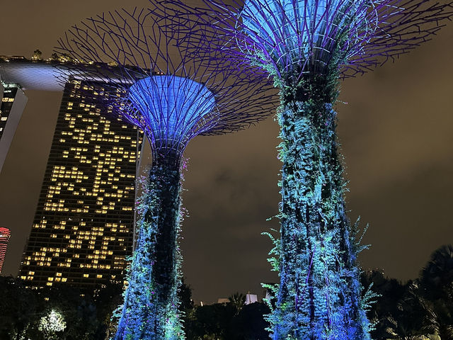 What an amazing experience Singapore has to offer!