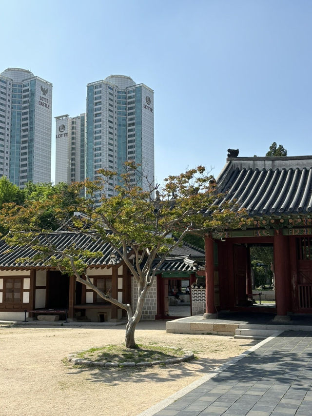 동묘 나들이