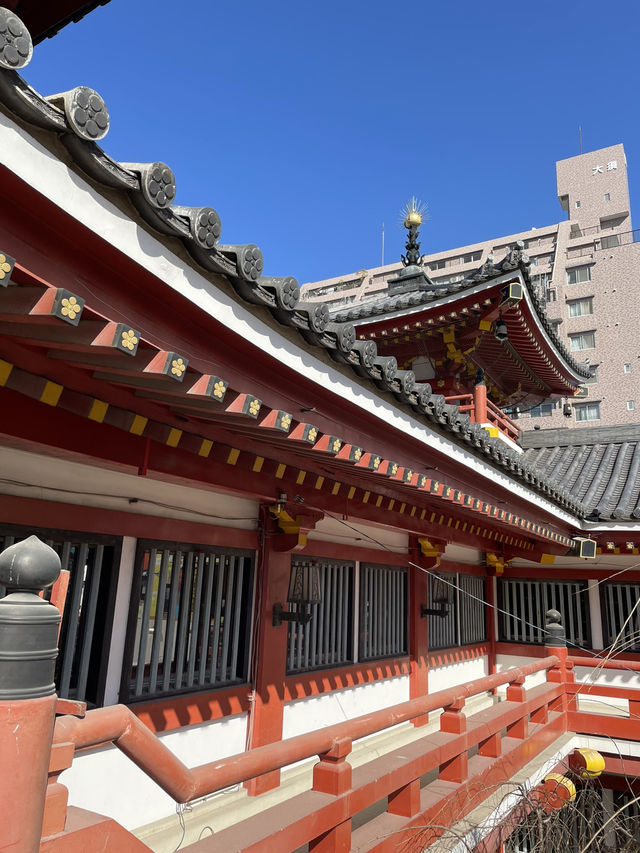 【名古屋×大須観音】 日本三大観音のひとつ 朱色の本堂は撮影スポット
