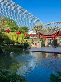 Experiencing the Charm of China-Malaysia Friendship Garden