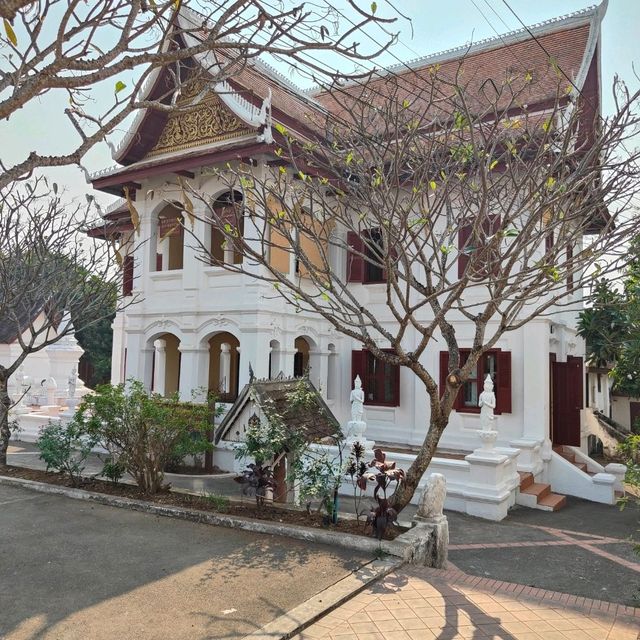 Sunrise Delights by the Mekong: A Morning Stroll Through Luang Prabang's Timeless Streets