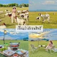7 พิกัด เที่ยวสระบุรี ครบทุกรสชาติไม่มีเบื่อ