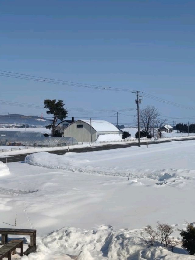 HOKKAIDO TRIP2025