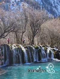 🌲🌳จิ่วจ้ายโกว (Jiuzhaigou สวรรค์แห่งเสฉวน)