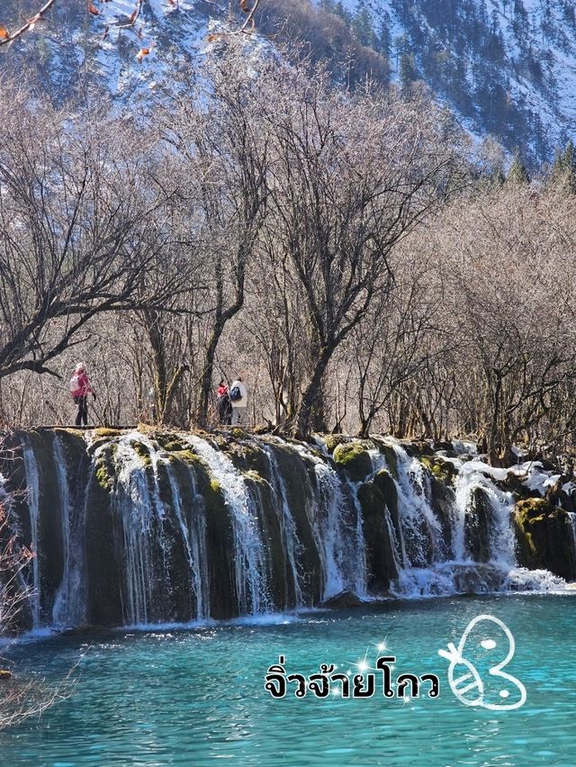 🌲🌳จิ่วจ้ายโกว (Jiuzhaigou สวรรค์แห่งเสฉวน)