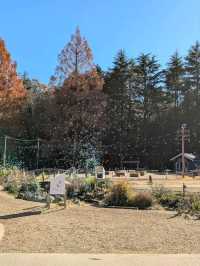 Moomin Valley Park
