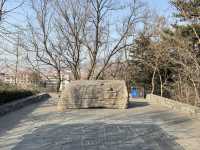 「威海山區肺」 環翠樓公園，仲有平價6頭鮑食！