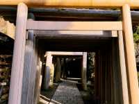 鎌倉遊記：宇賀福神社與日落