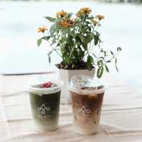 คาเฟ่ 1000 Stars: จิบกาแฟใต้หมื่นดาว