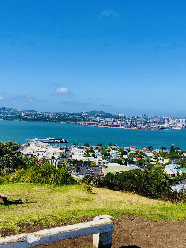 Trail Blazer: Exploring Mount Victoria Reserve