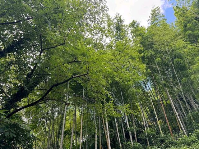 Minami Park (南公園)