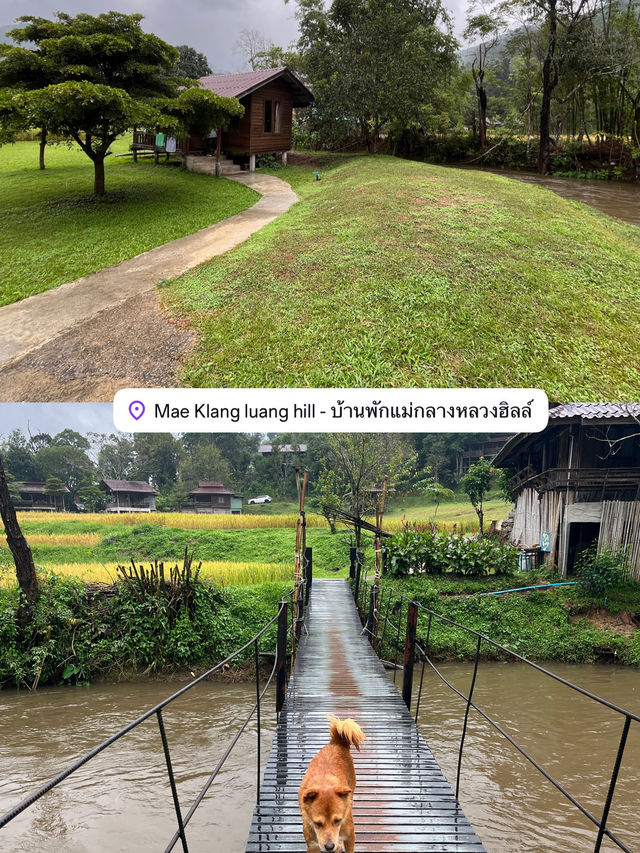 ดอยอินทนน์ 2 วัน 1 คืน 🏕️