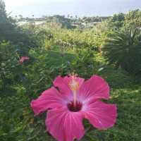 Omoro Botanical Garden