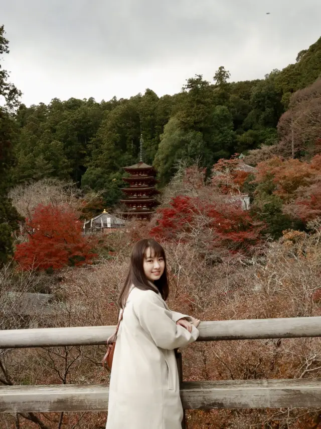 奈良賞楓好去處