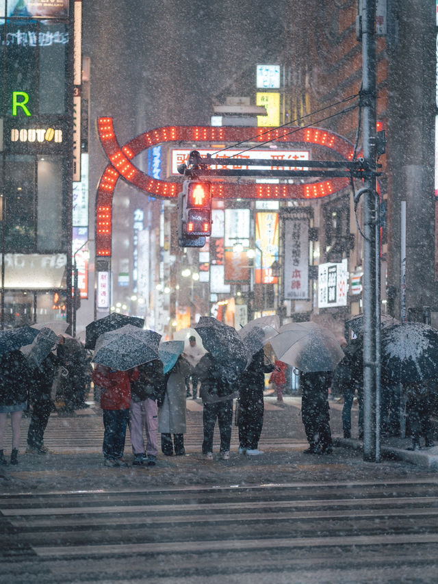 【新宿】雪の夜。カメラマンの視点で切り取る、幻想的な瞬間❄📷