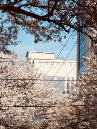 A Photographer’s Paradise in Spring!
