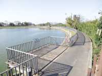 桃園| 秘境湖泊私房景點 溪海埤塘生態公園必來亮點,環湖步道、魚群奇觀、美景一次看夠